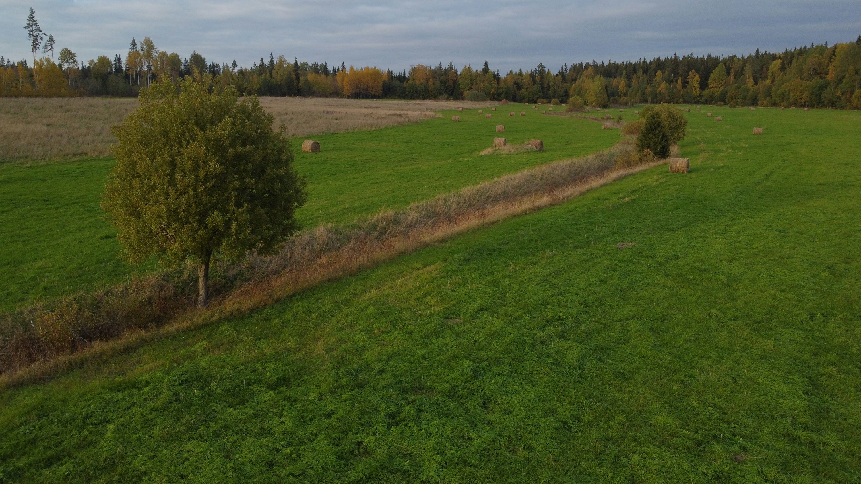 Eachine rc drones for search and rescue with obstacle avoidance