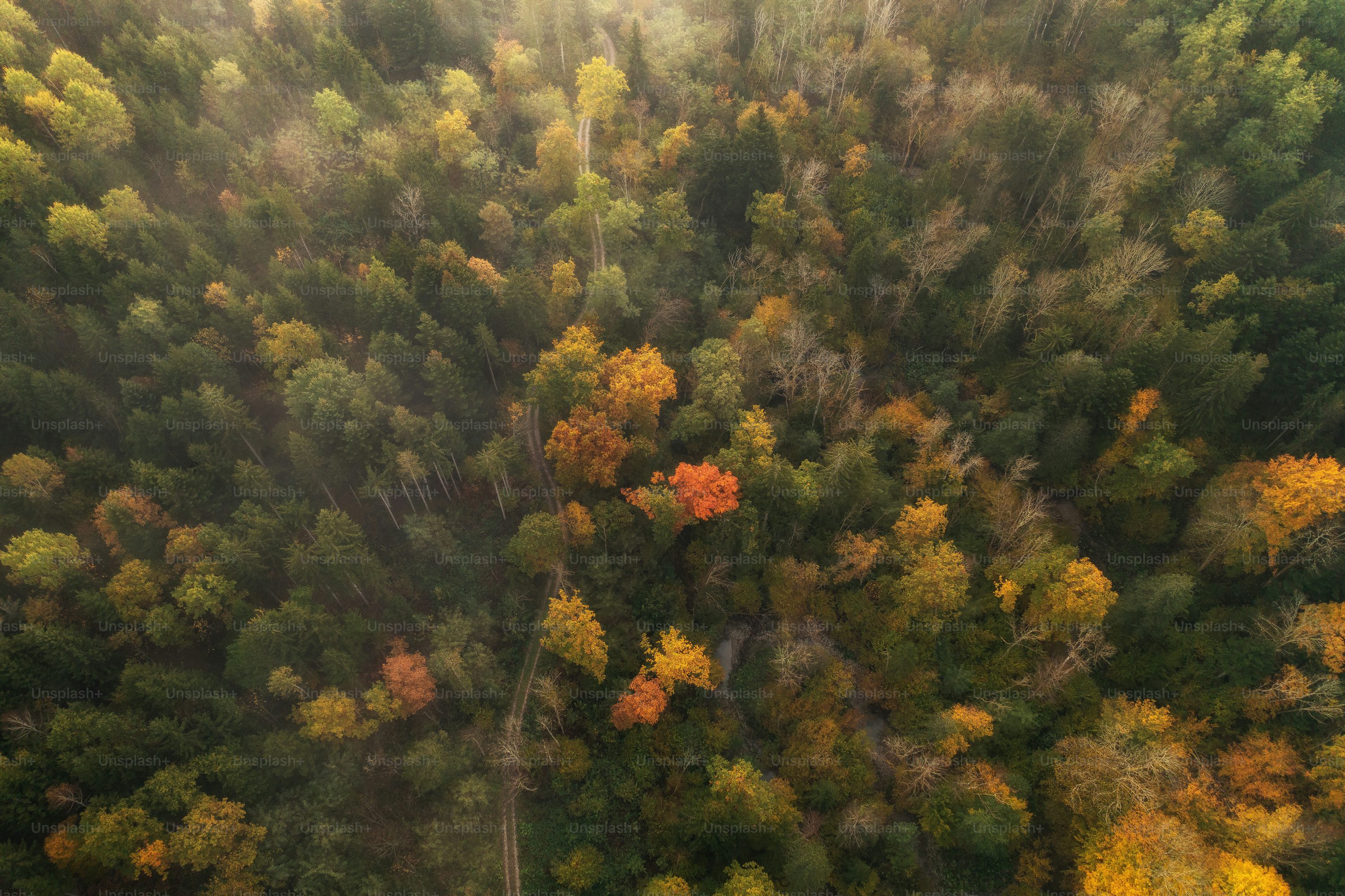 Hubsan rc drones for inspection with thermal camera