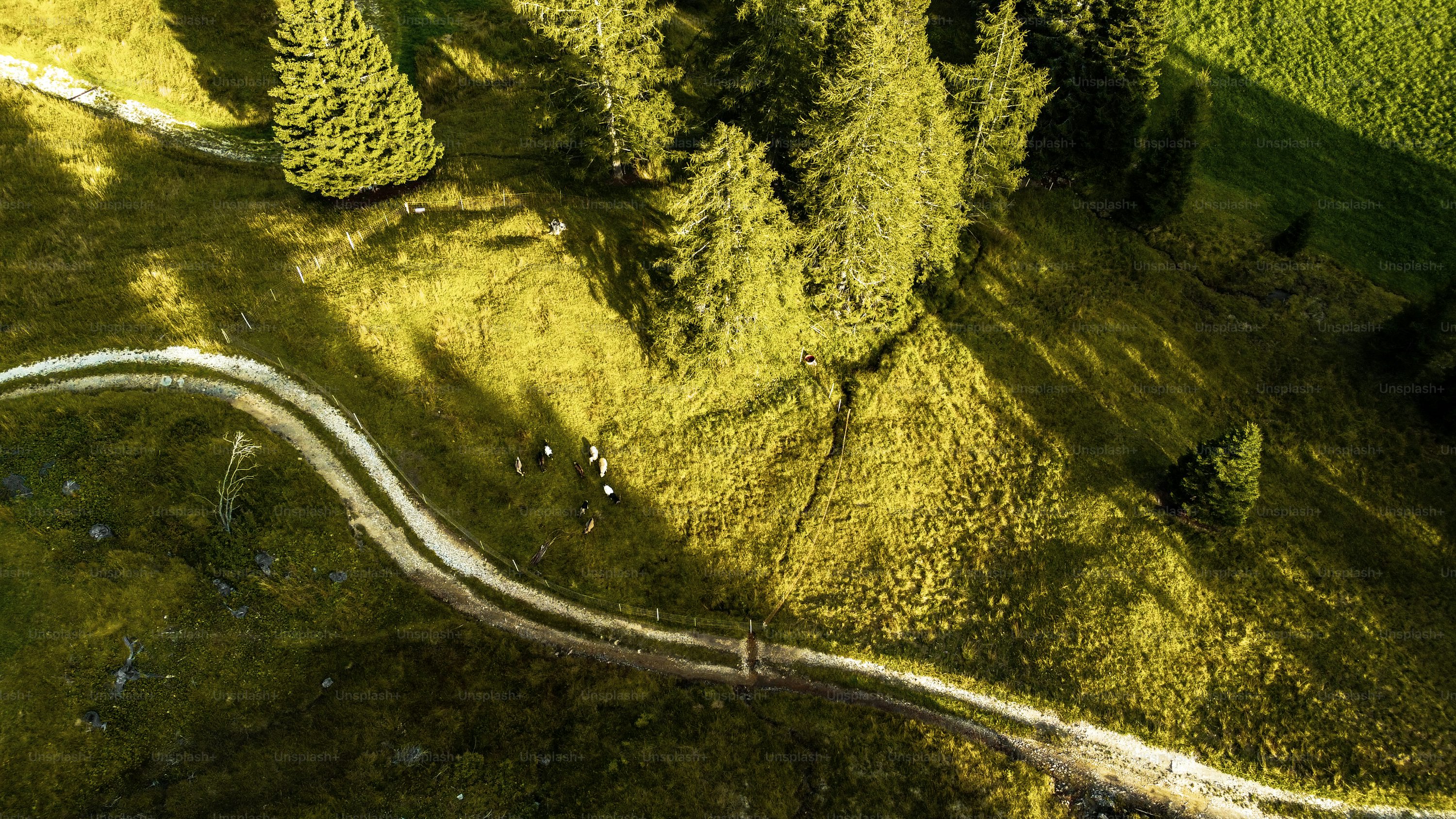 rc drones for event coverage with 4k camera