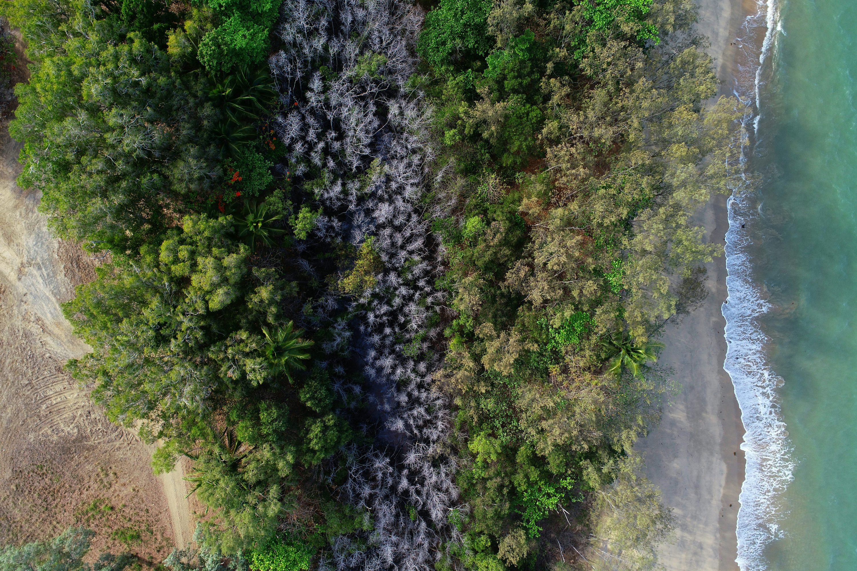uavs for wildlife monitoring with brushless motor in Australia