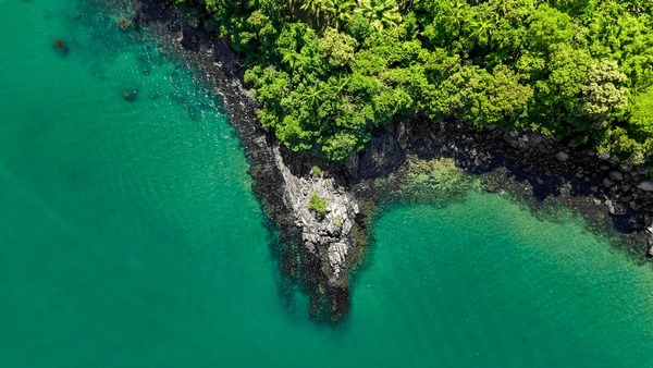 Ryze Tello professional drones for wildlife monitoring with 4k camera
