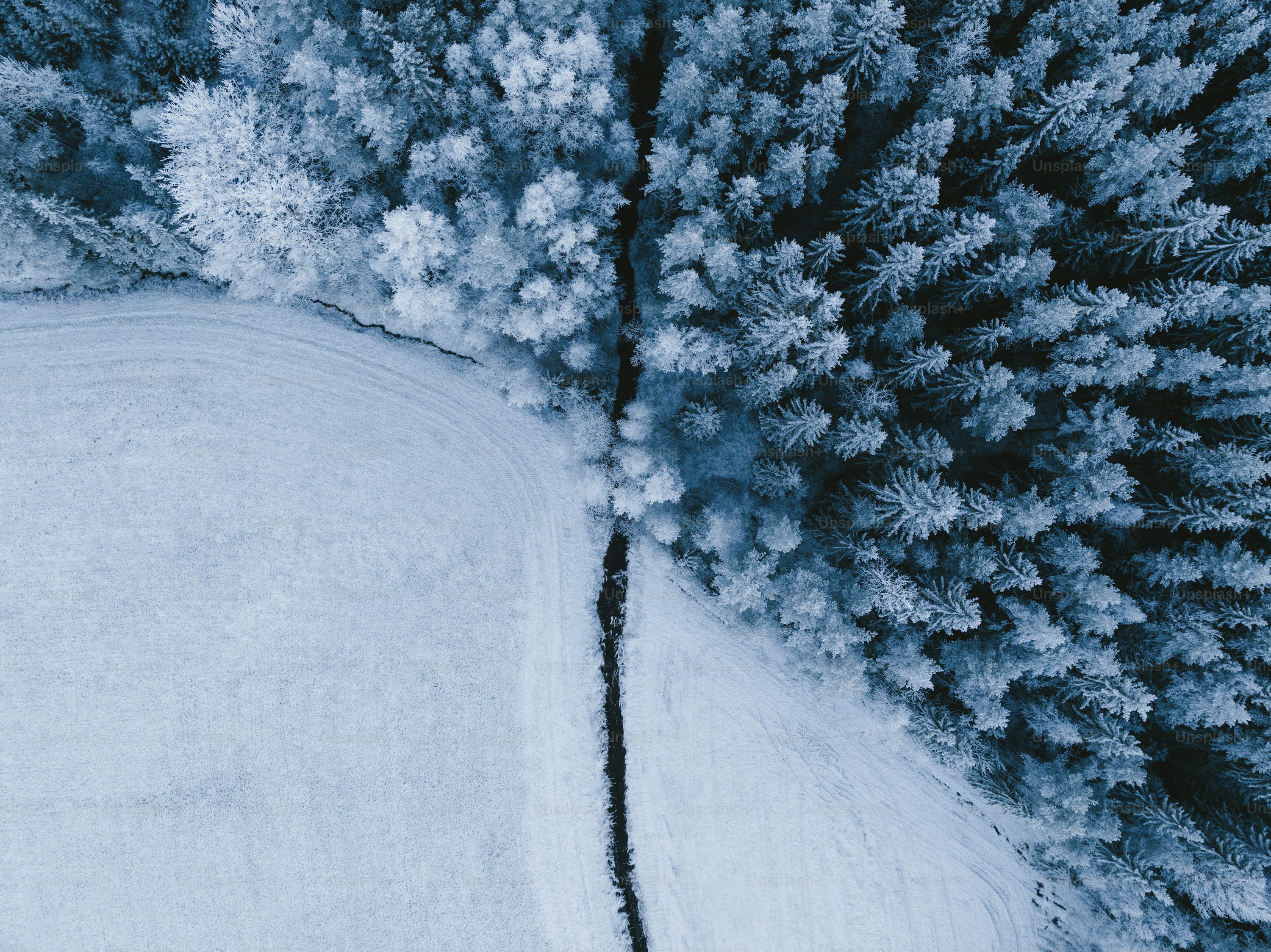 Skydio quadcopters for real estate with 1080p camera