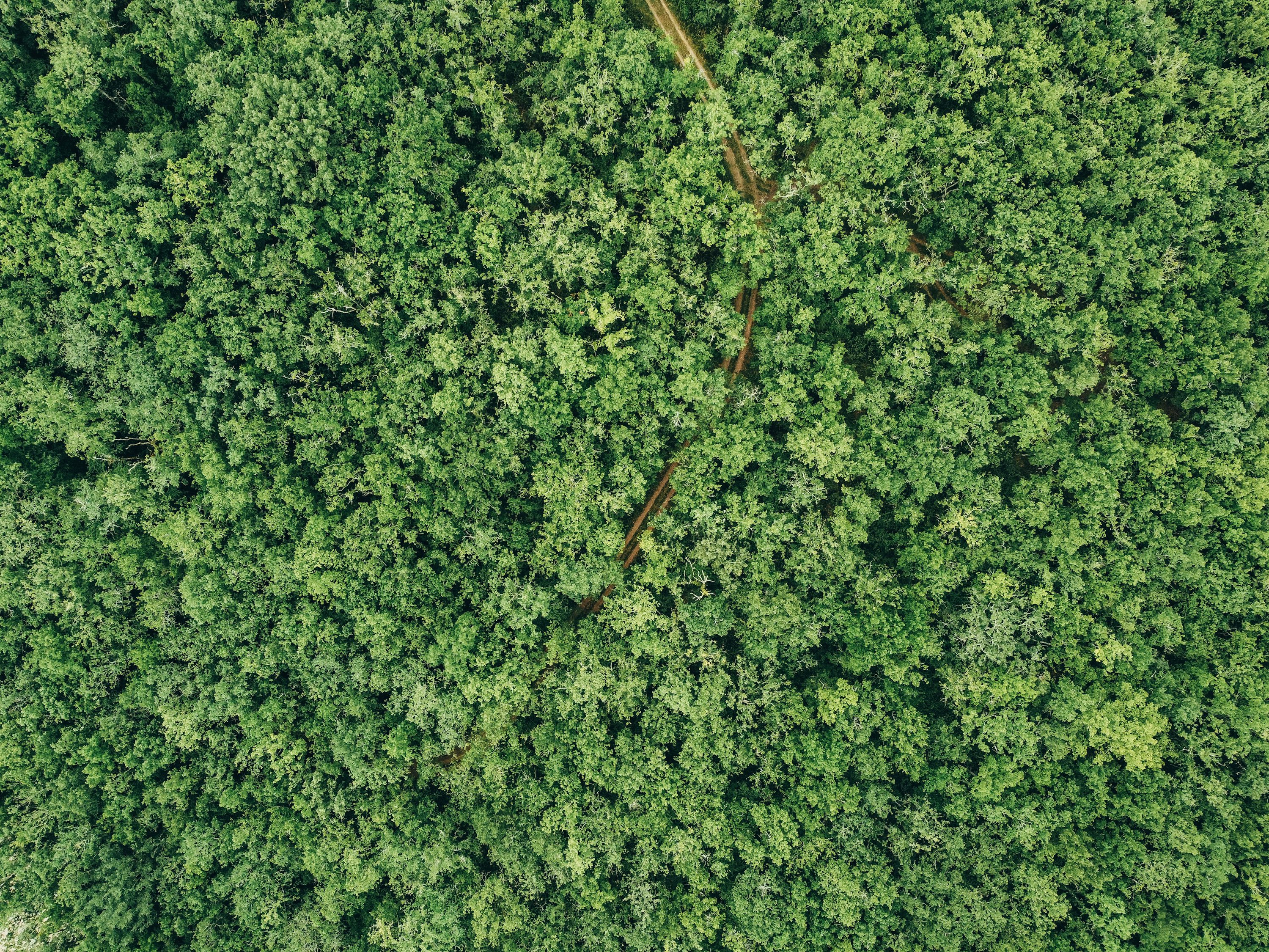 gps drones for wildlife monitoring with foldable in Dubai