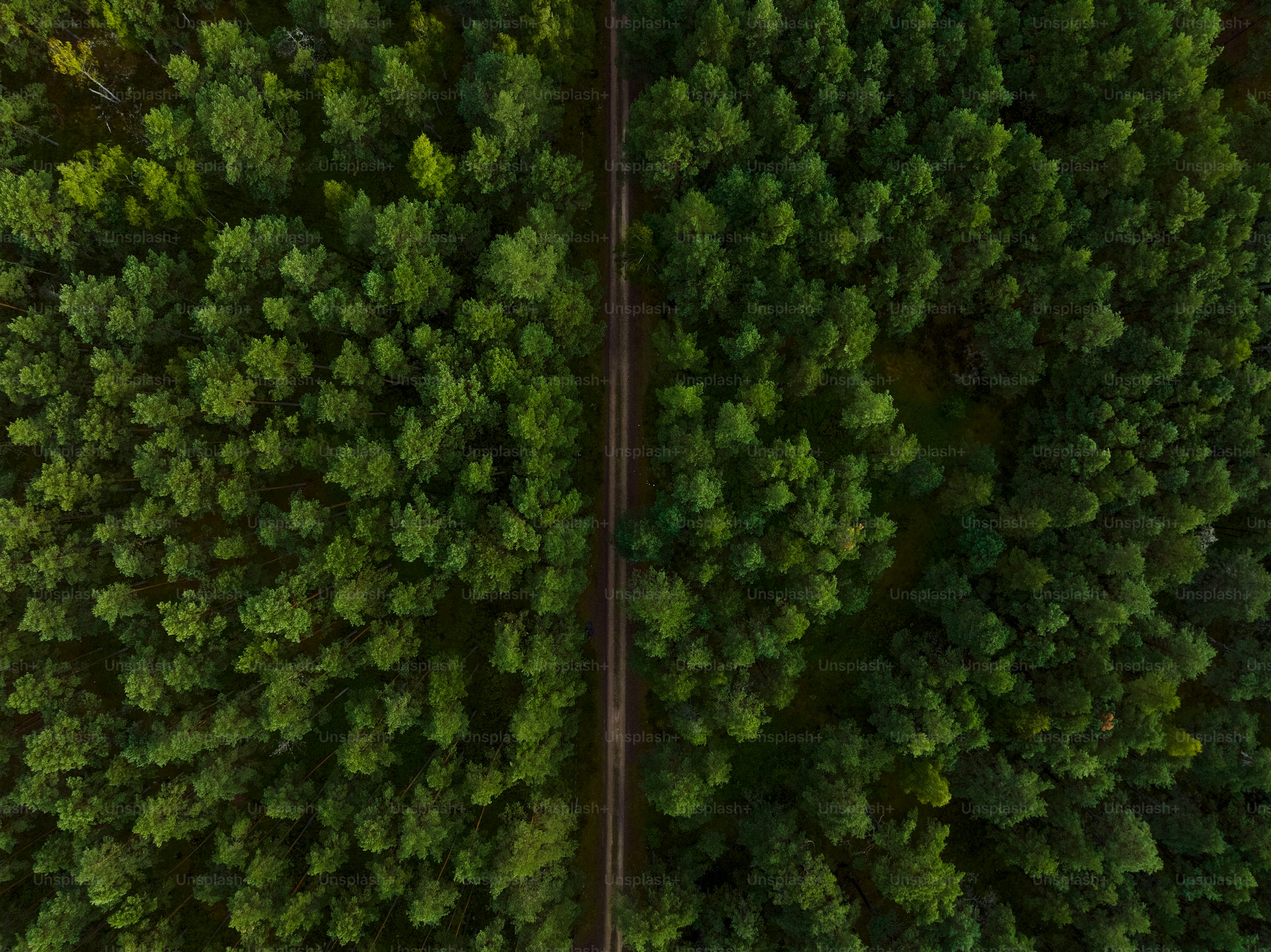 Eachine drones for wildlife monitoring with follow me mode