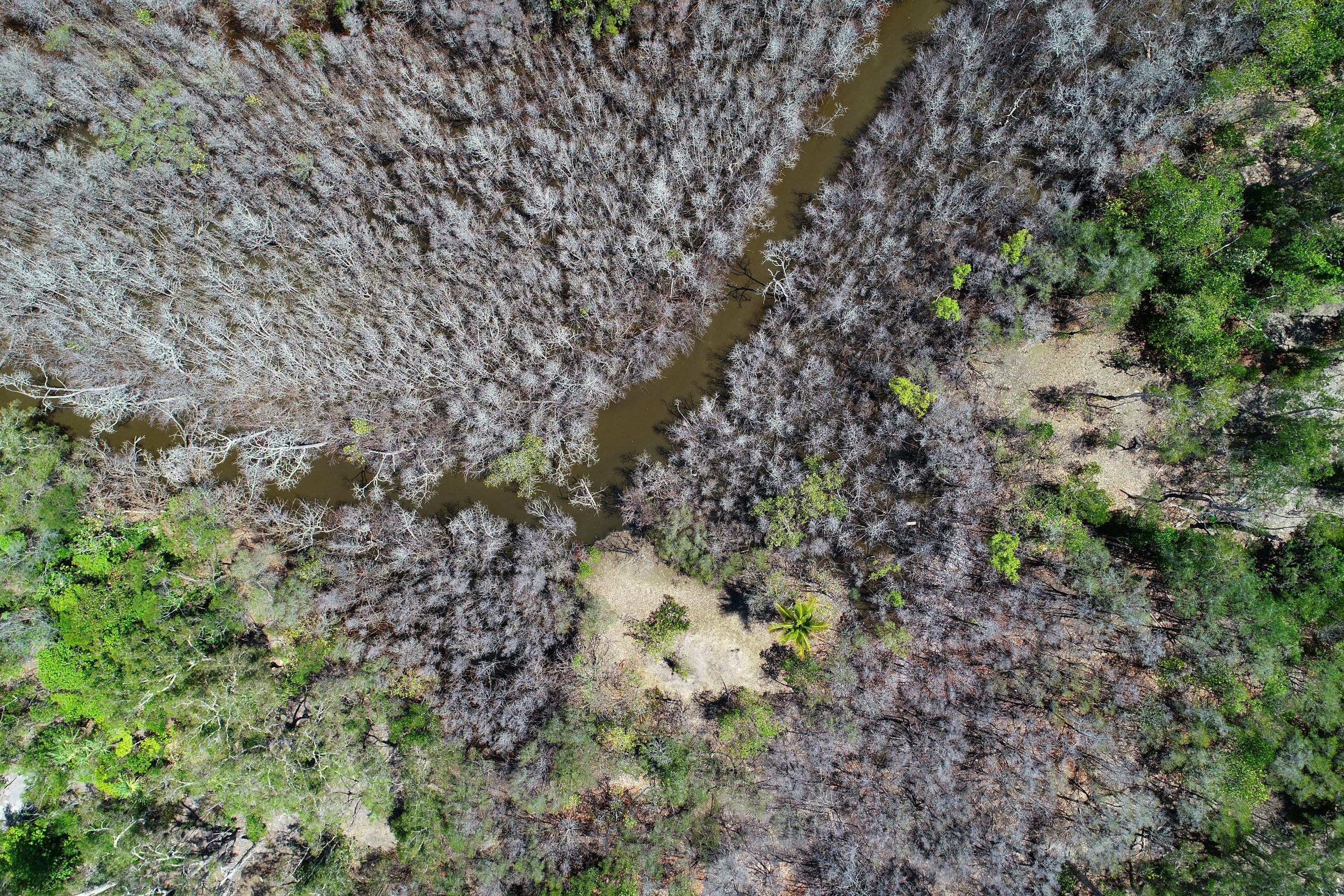 rc drones for aerial photography with altitude hold in Australia