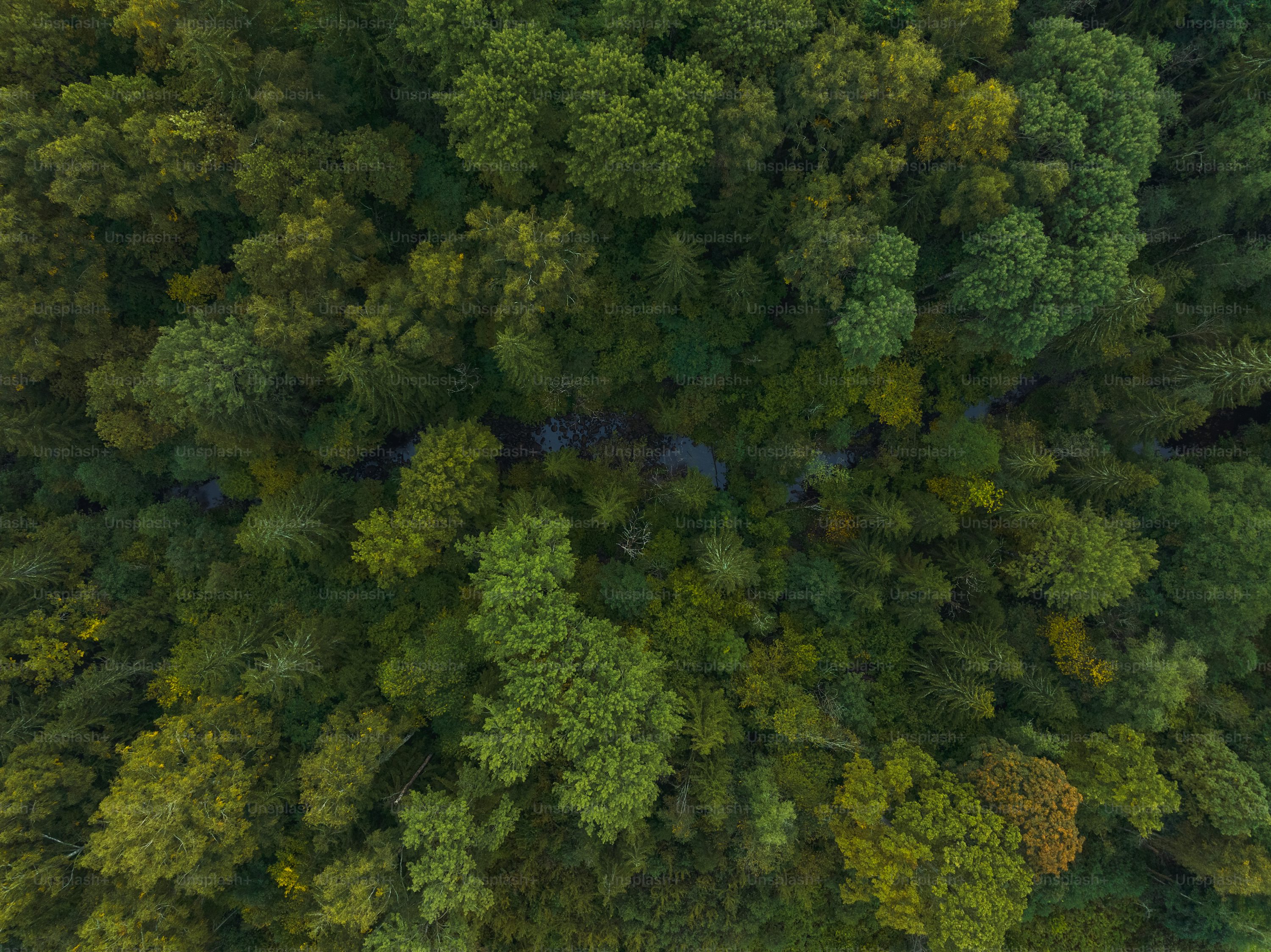 drones for law enforcement with waterproof in Canada