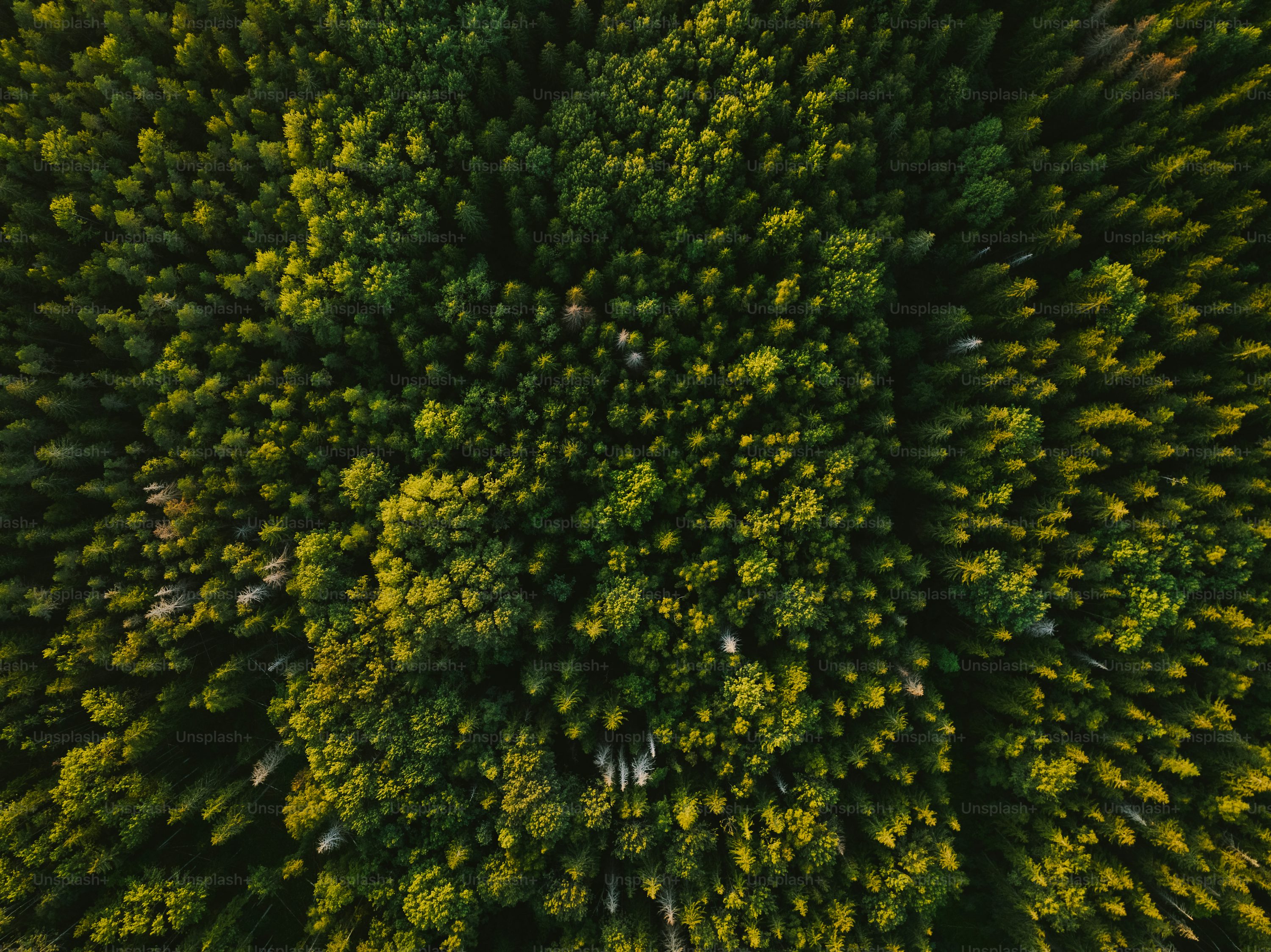 professional drones for farming with gps in USA