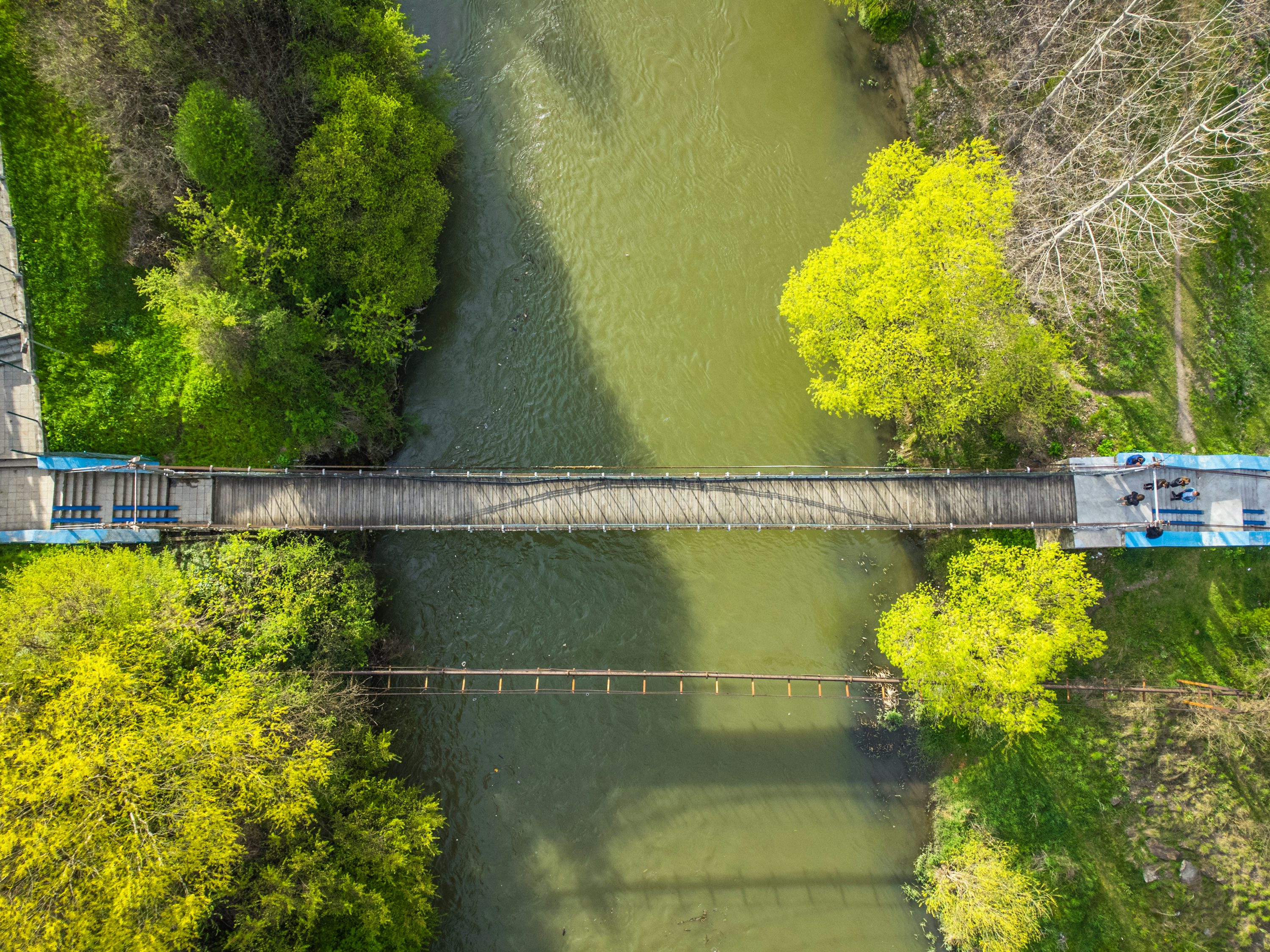quadcopter for wildlife monitoring with waterproof in Dubai