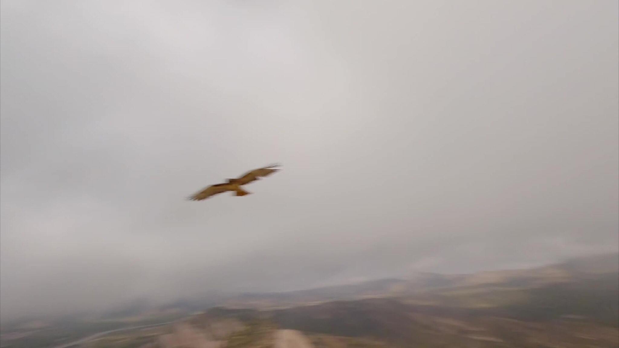 drone for search and rescue with waterproof in Asia