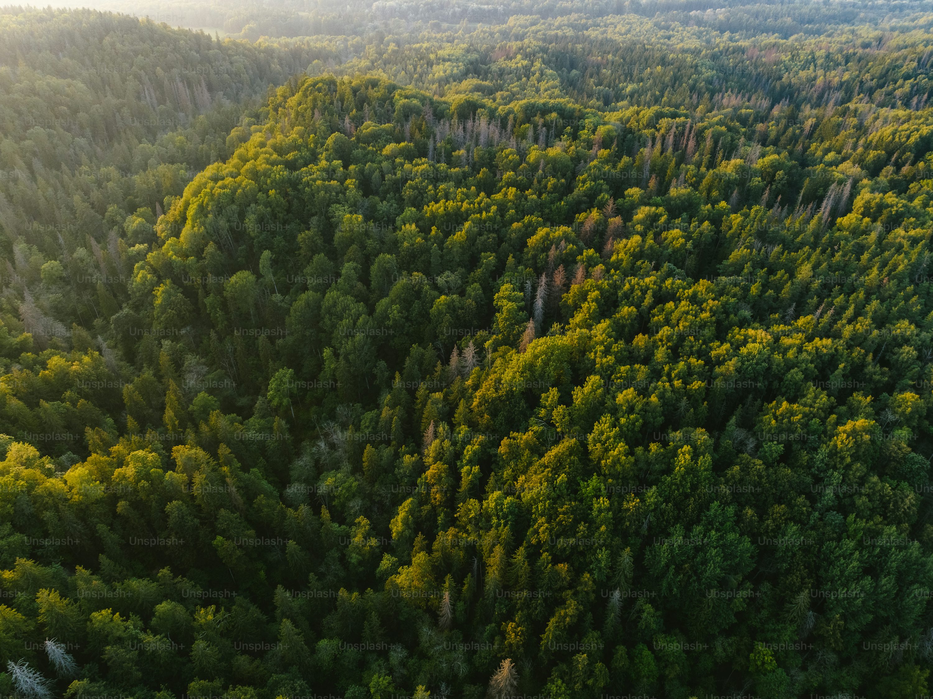uavs for agriculture with follow me mode in Canada