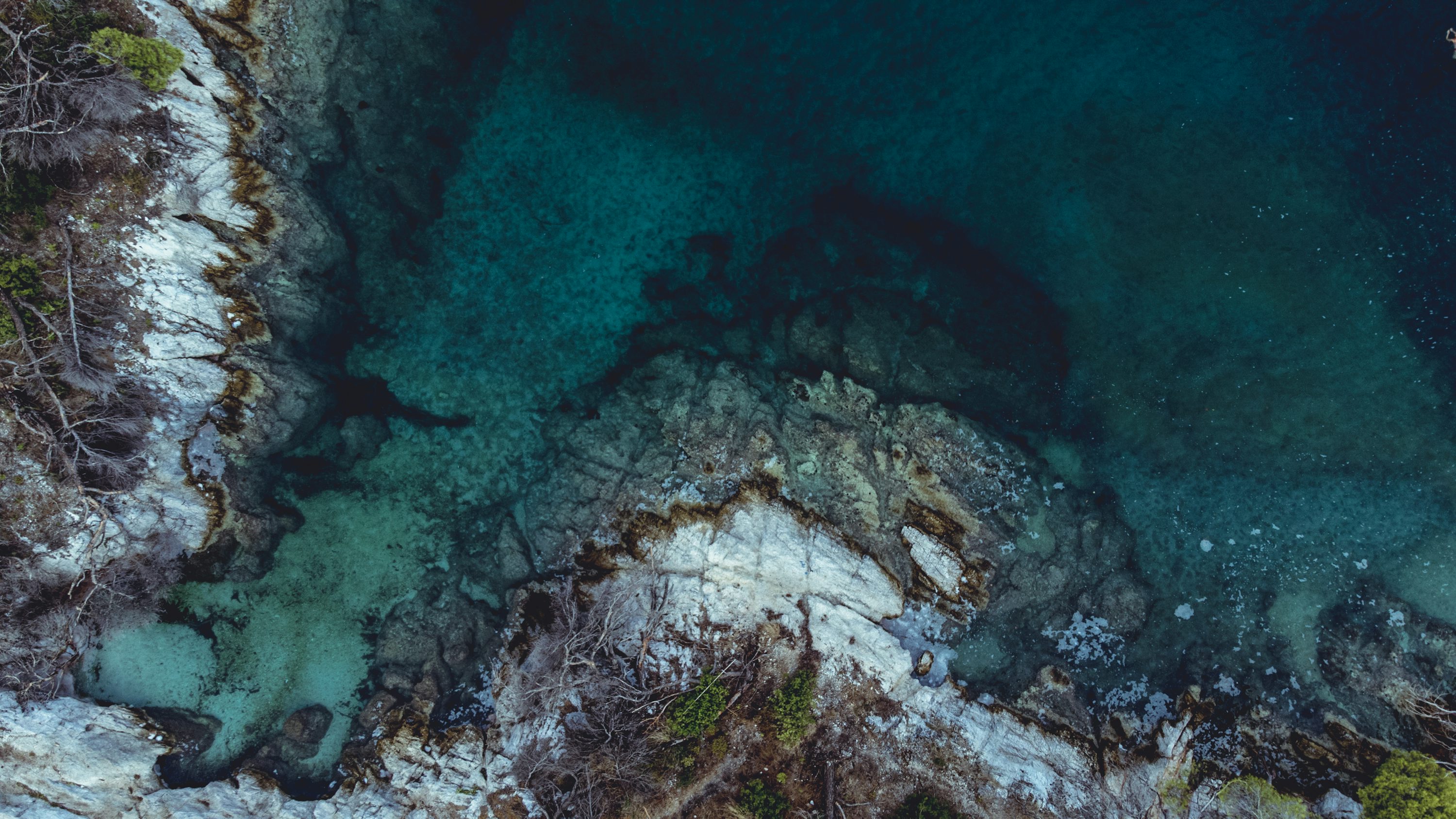 fpv drones for environmental monitoring with first person view in Los Angeles