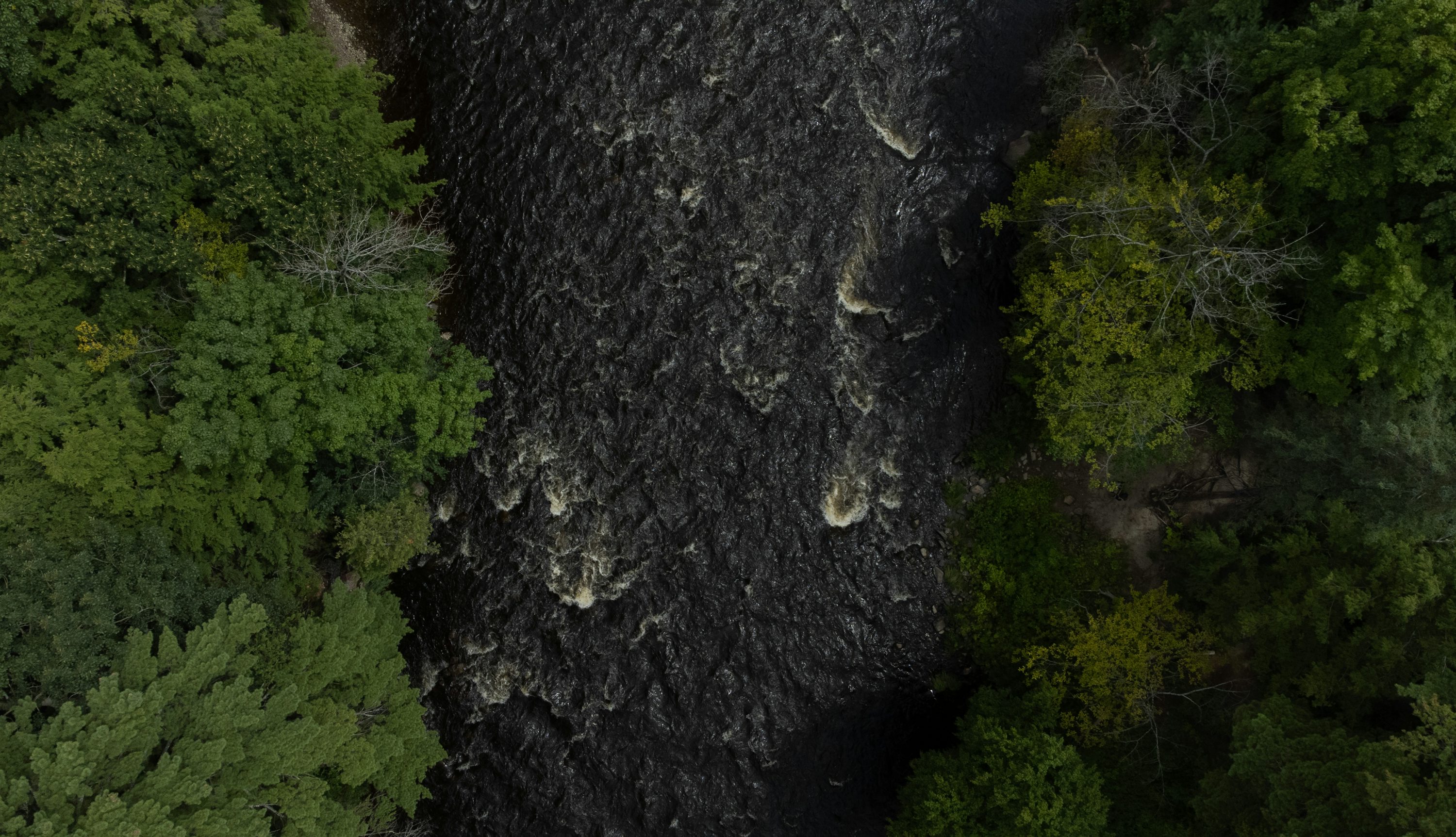 uavs for environmental monitoring with first person view in London