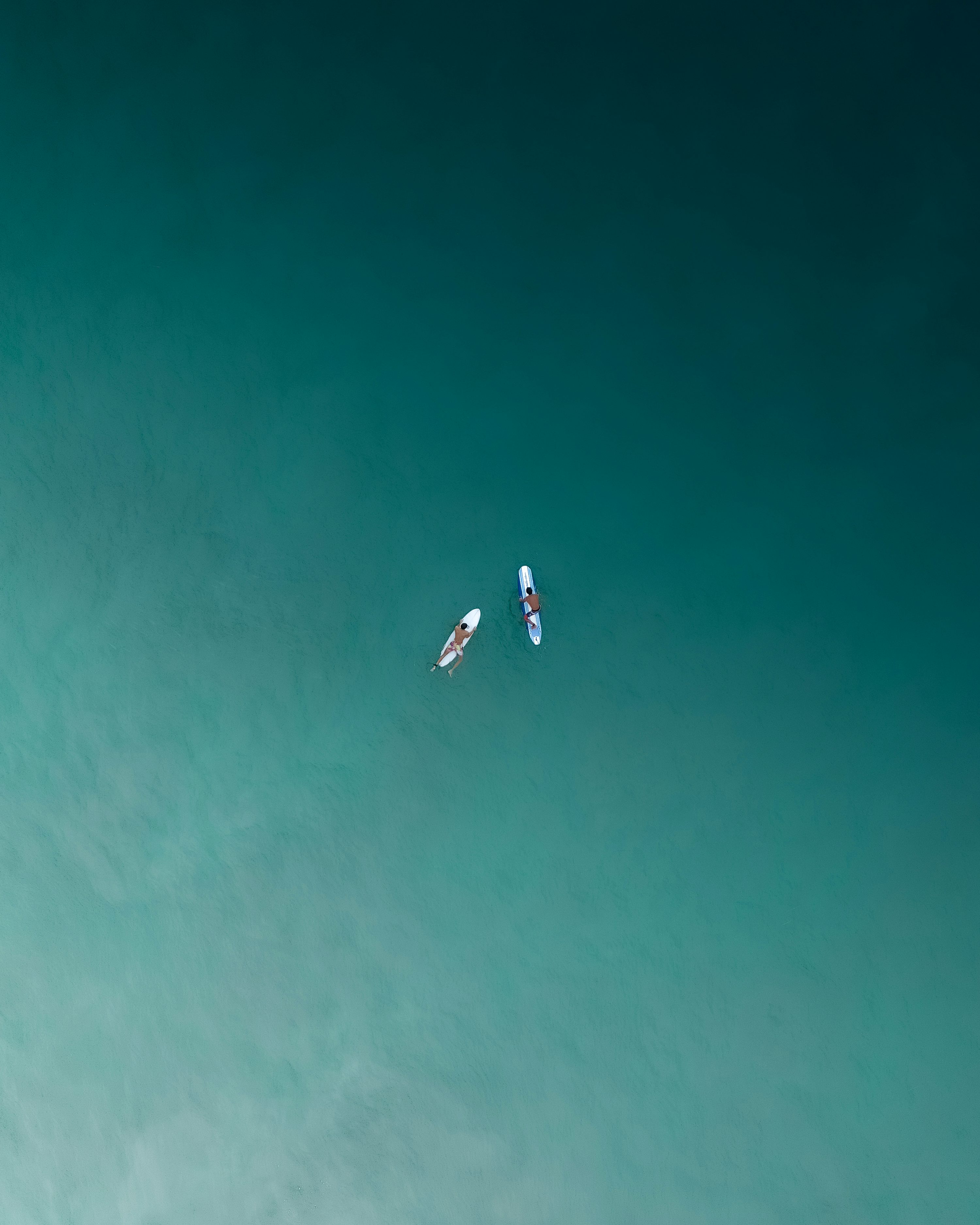 gps drones for environmental monitoring with brushless motor in Singapore