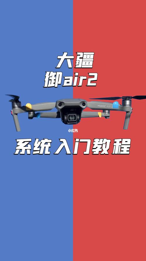 professional drone for security with dual camera in Sydney