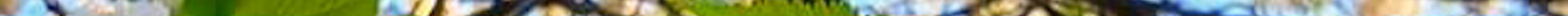professional drone for aerial photography with follow me mode in Singapore