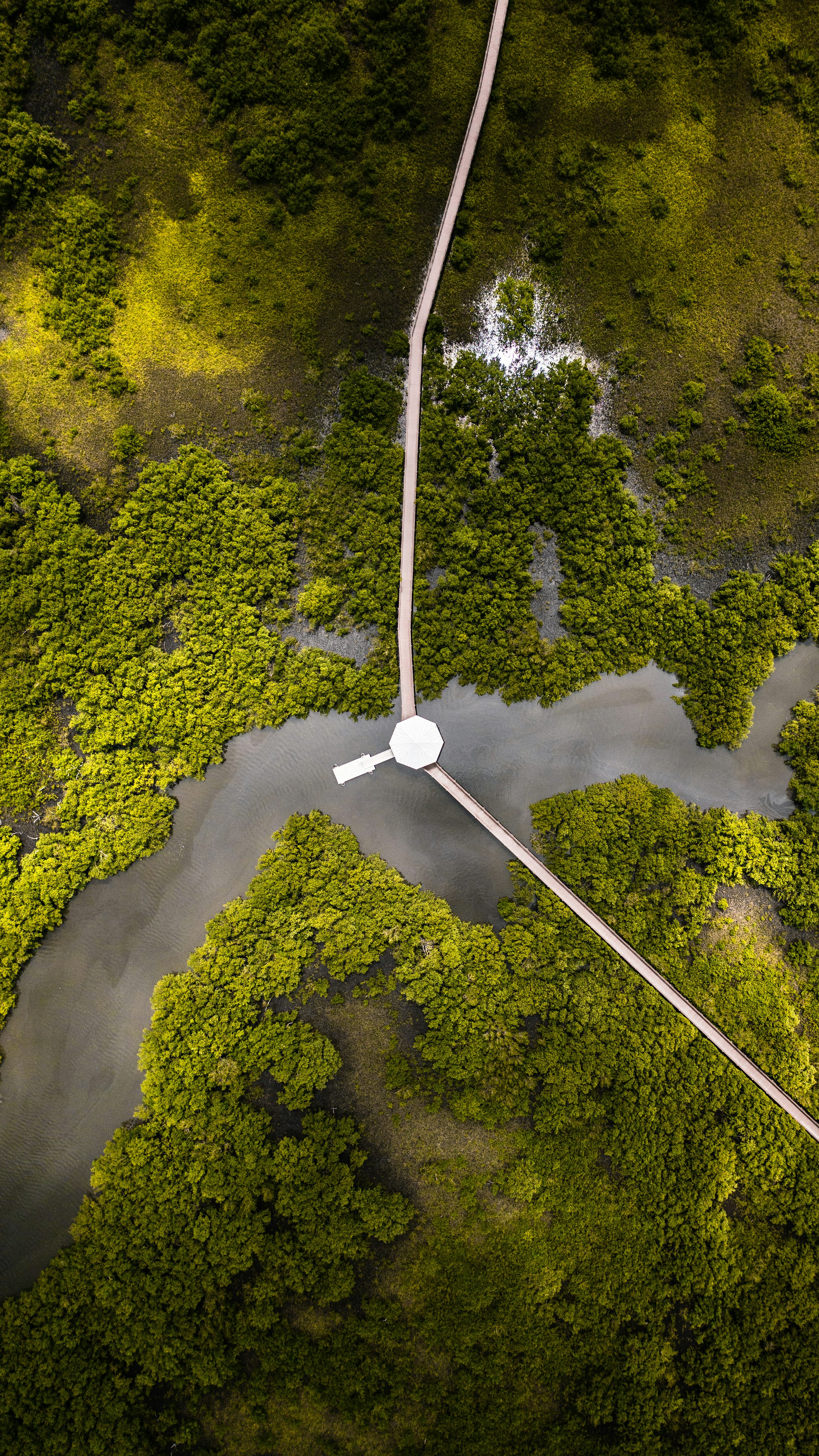 camera drone for environmental monitoring with lightweight