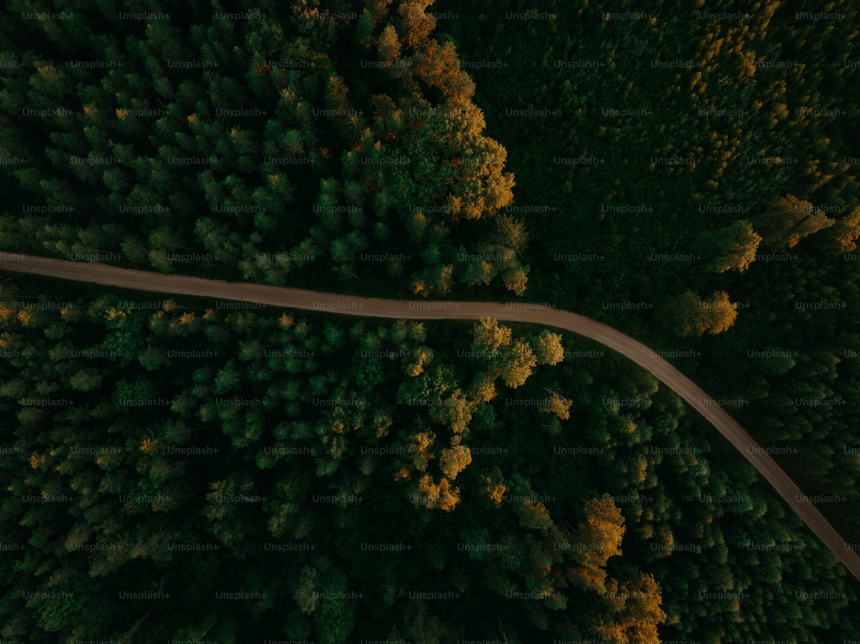 Potensic professional drone for videography with lightweight