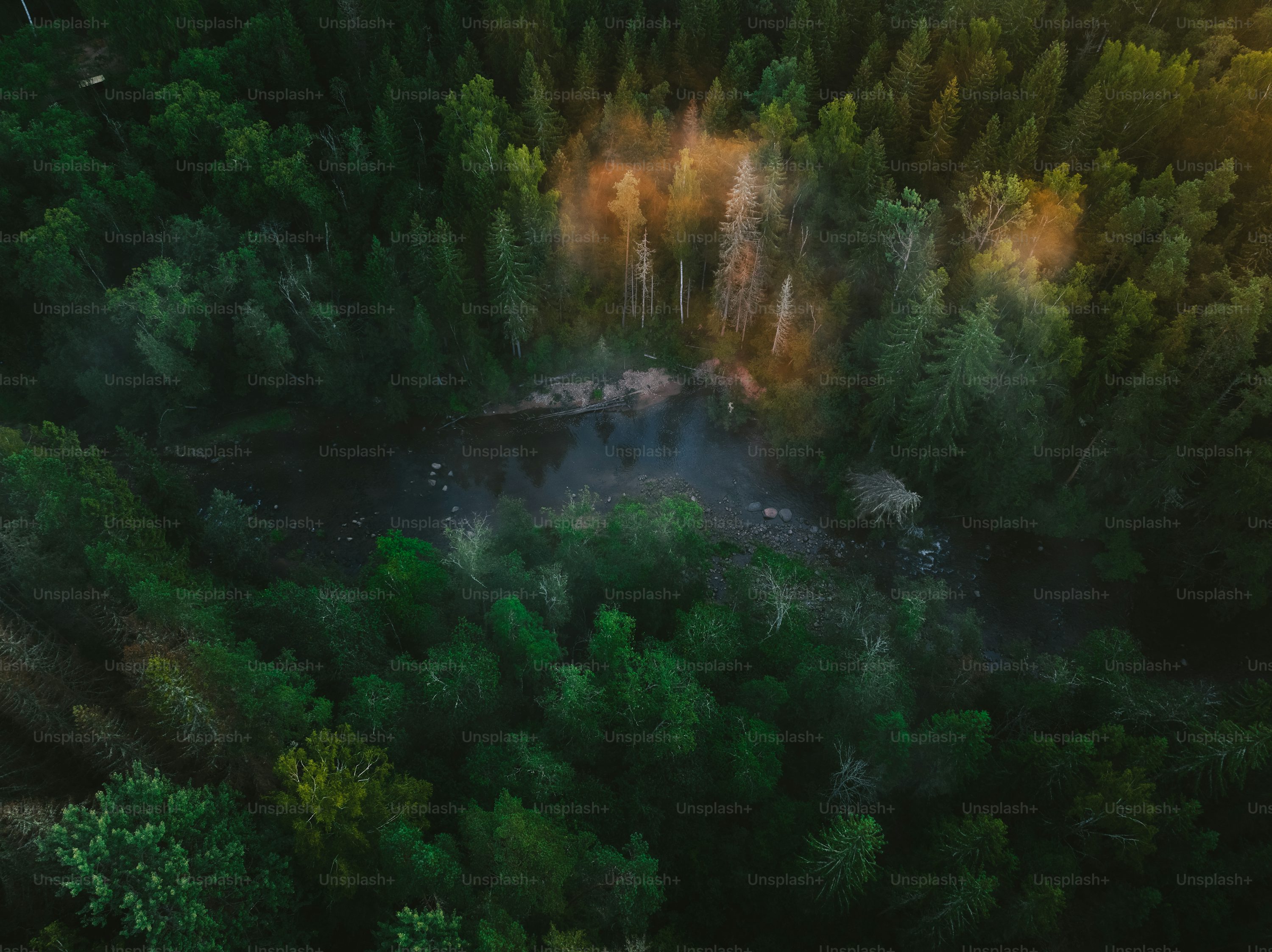 fpv drone for search and rescue with return to home in Canada