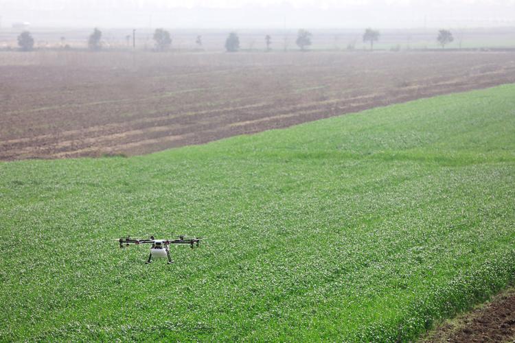 drone for wildlife monitoring with lightweight in Sydney