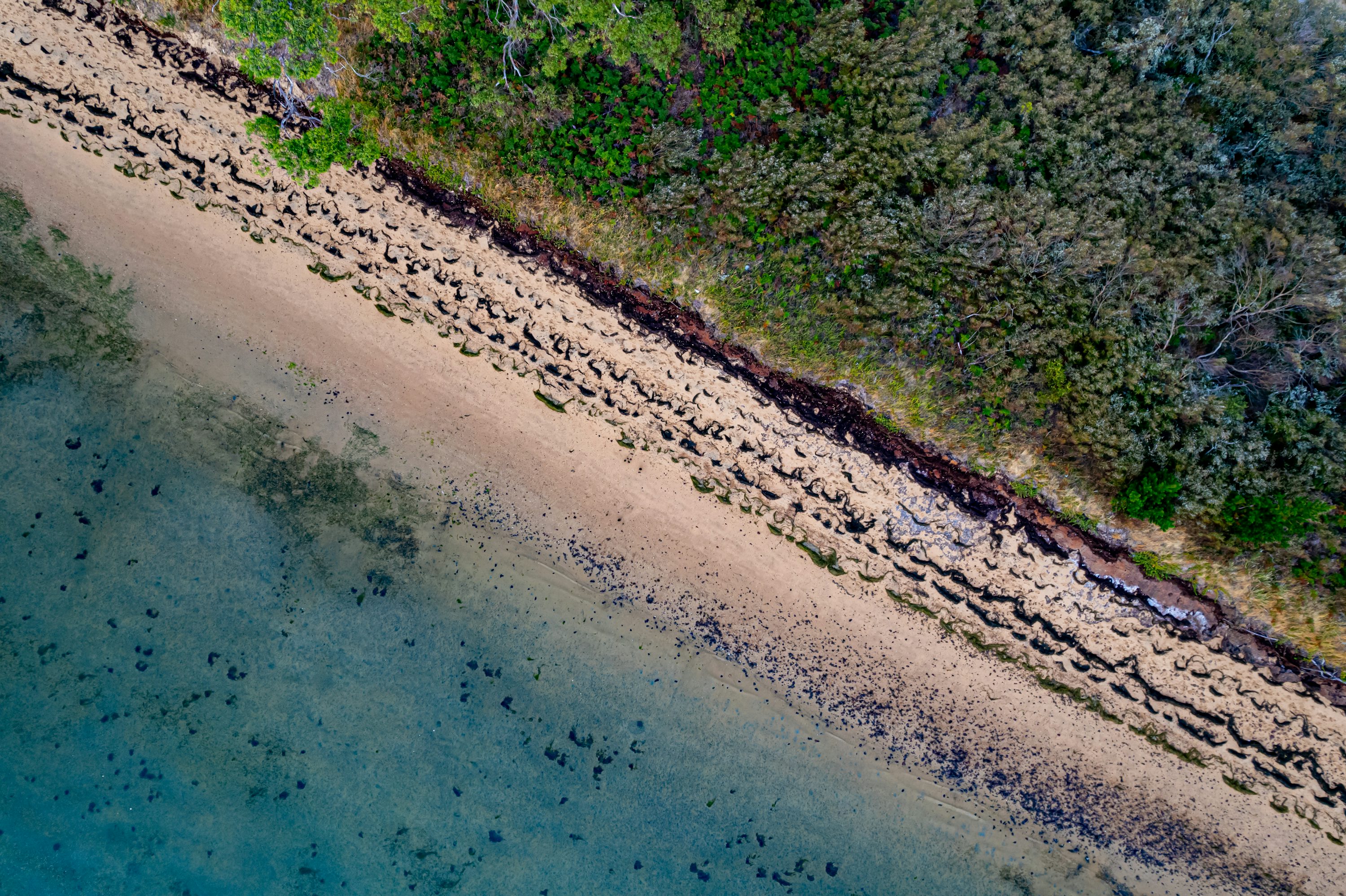 DJI drone for aerial photography with waterproof