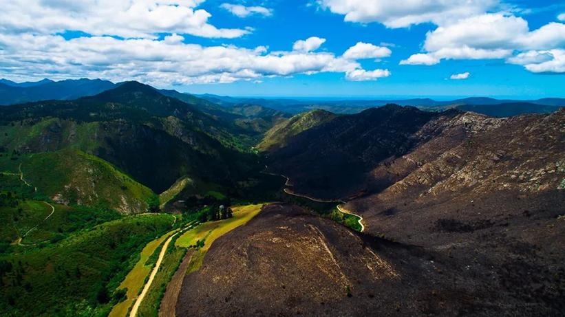 drones for environmental monitoring with obstacle avoidance in Hong Kong