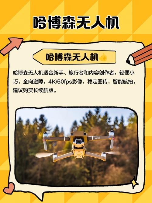 Holy Stone camera drone for wildlife monitoring with altitude hold