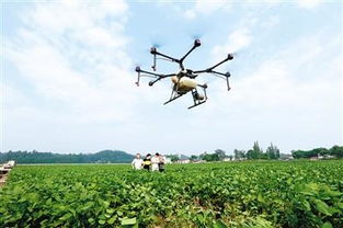 gps drone for security in Sydney