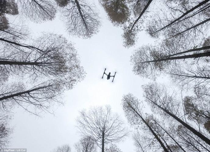 Parrot gps drones for law enforcement with altitude hold