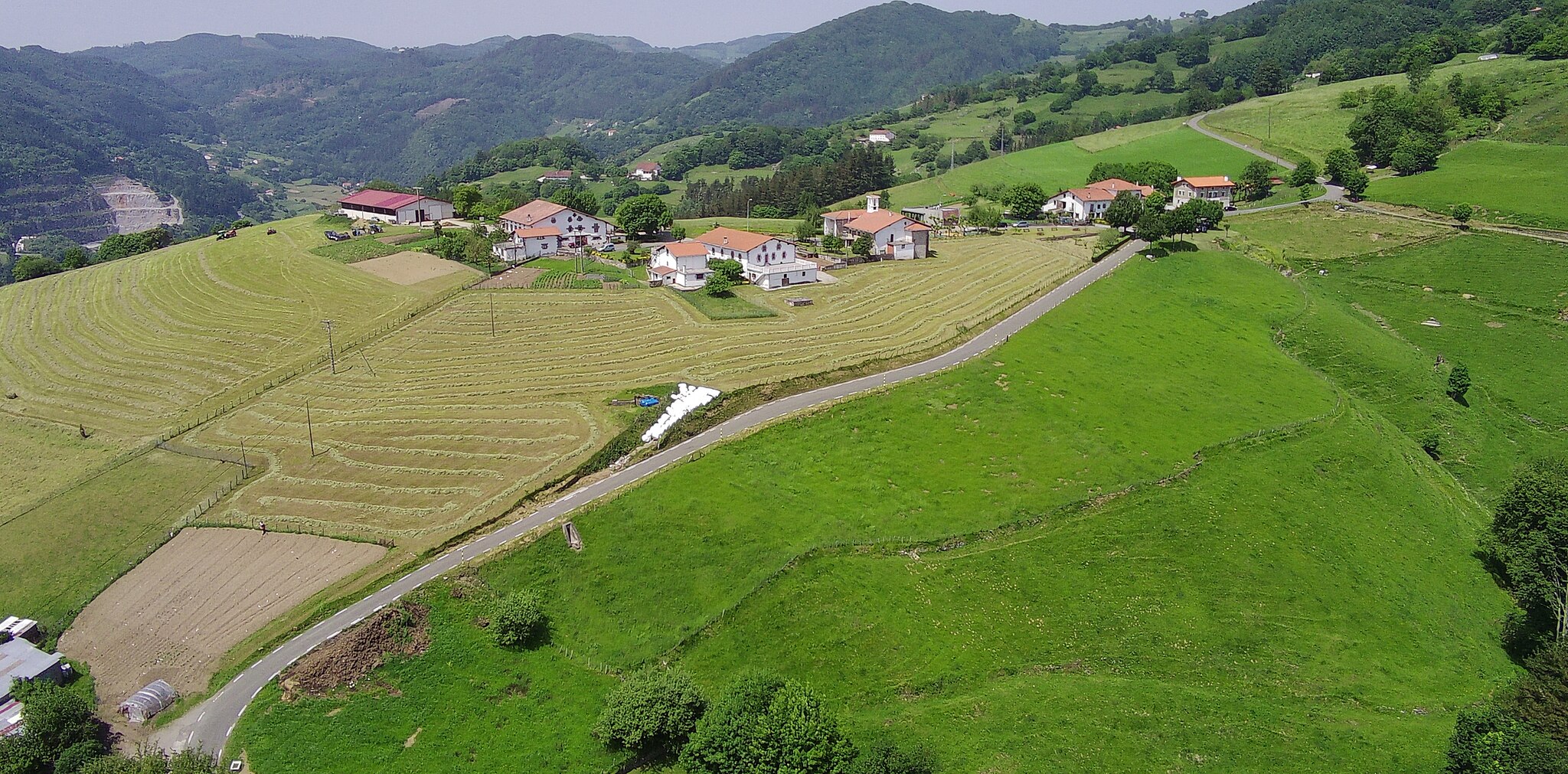 drones for delivery in Europe