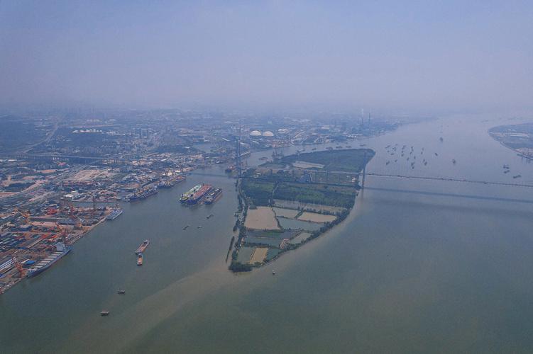 rc drones for wildlife monitoring with gps in Hong Kong
