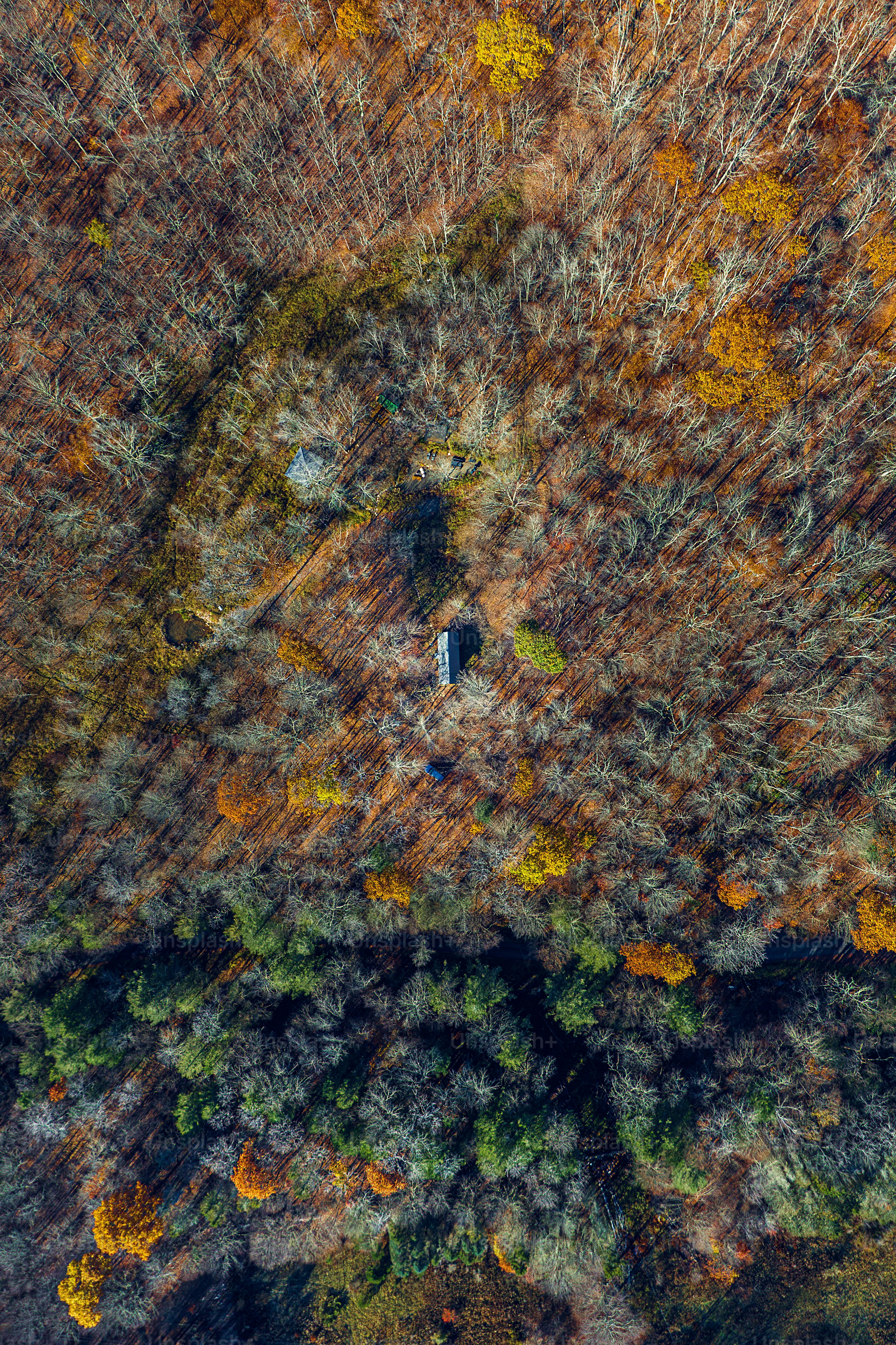 fpv drone for environmental monitoring with return to home in New York