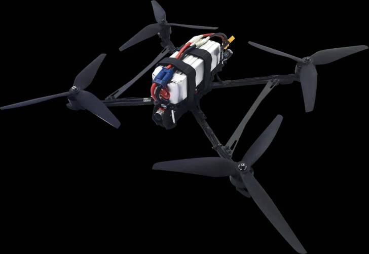 uavs for wildlife monitoring with return to home in New York