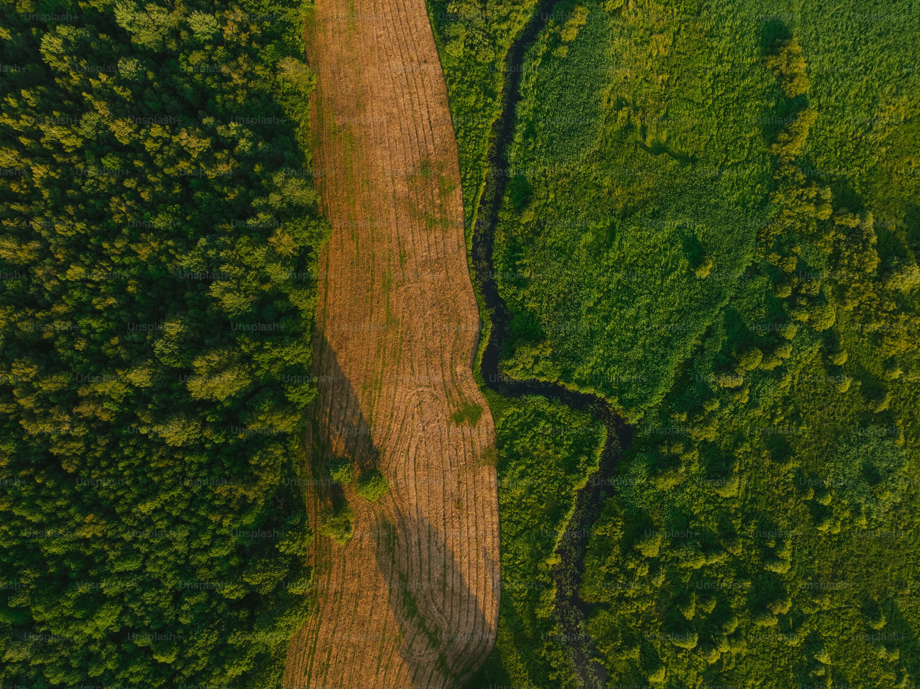 professional drones for farming with obstacle avoidance in USA