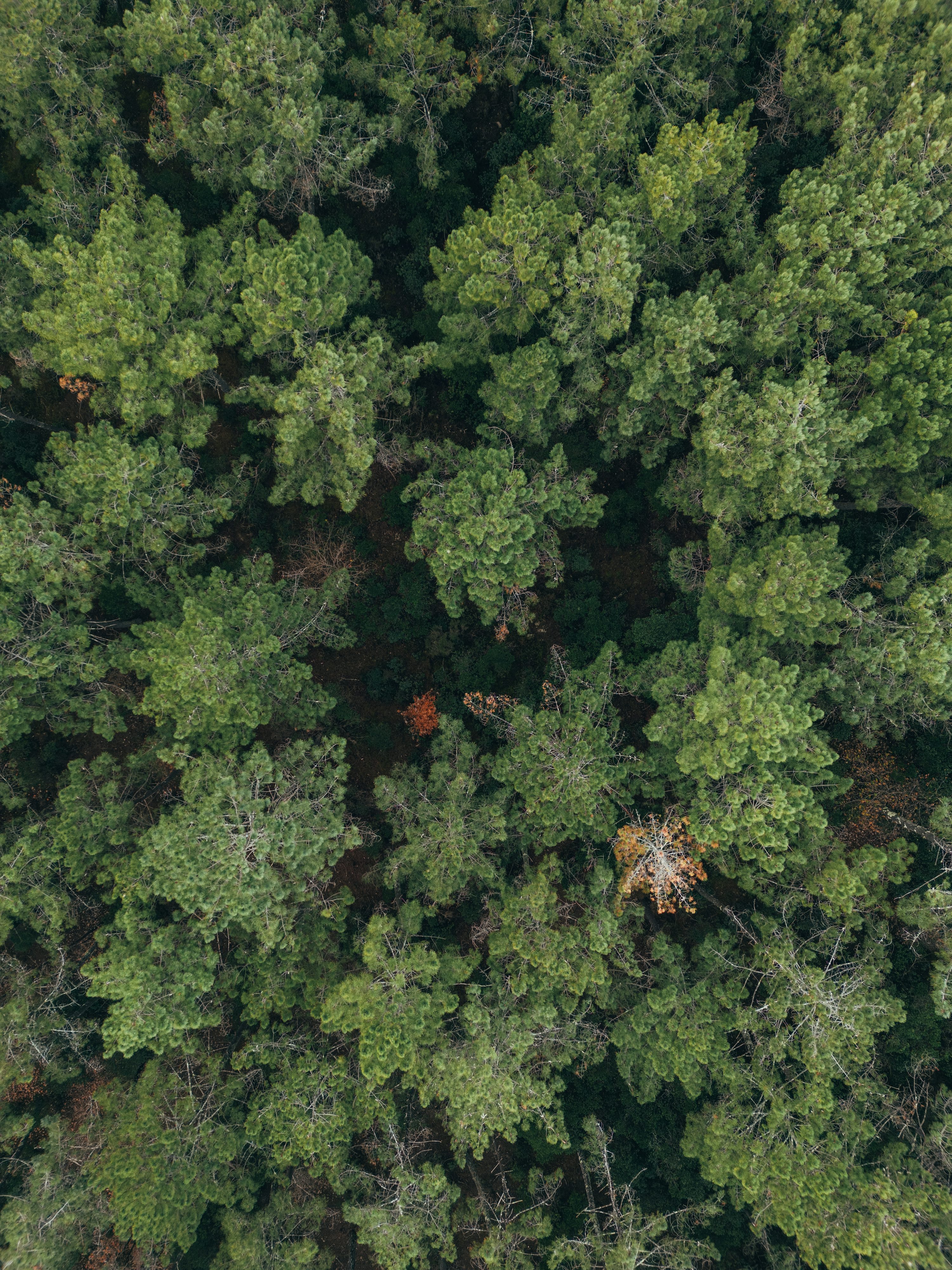 gps drone for mapping with waterproof in Asia