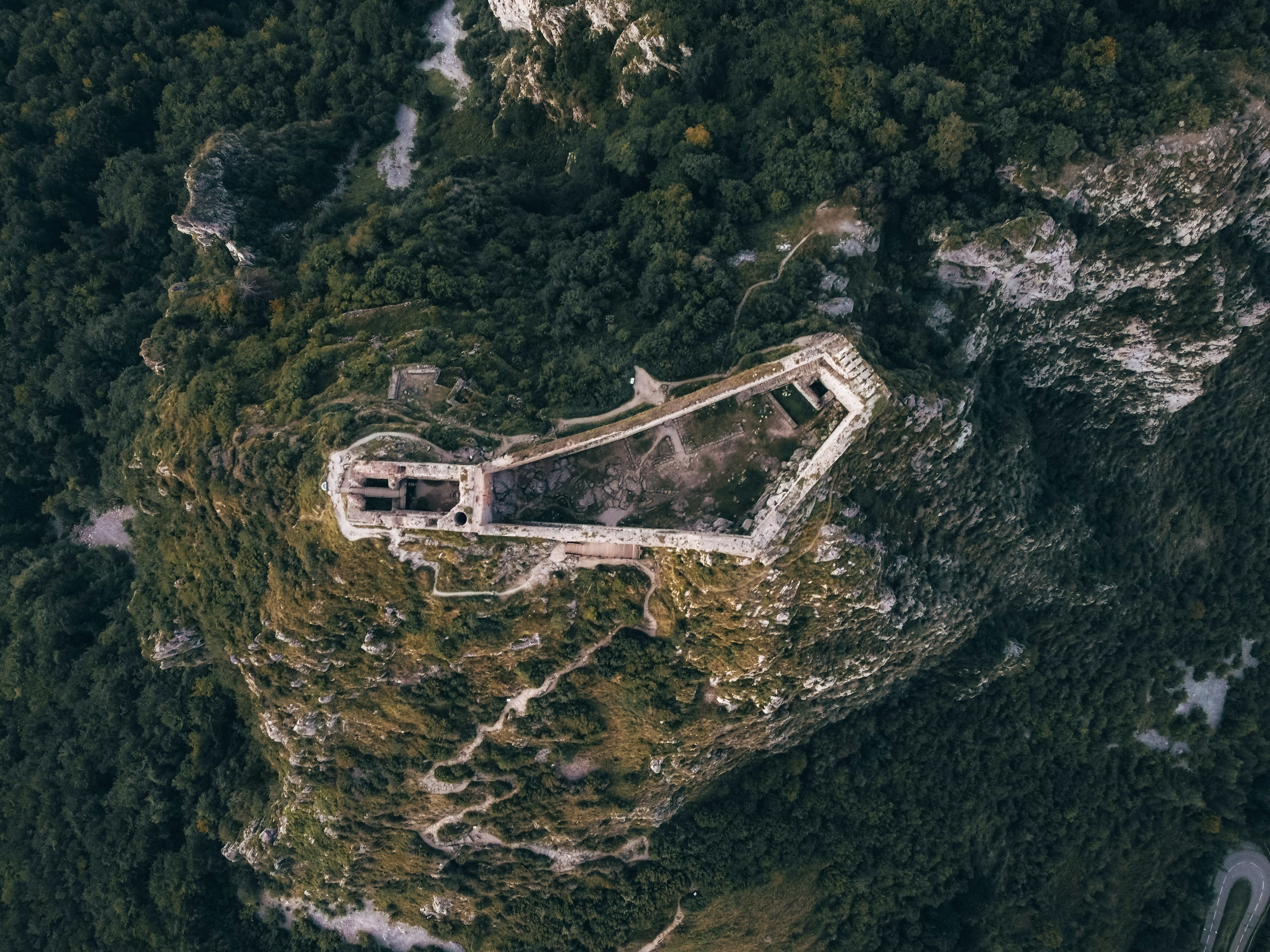 rc drones for wildlife monitoring in Dubai