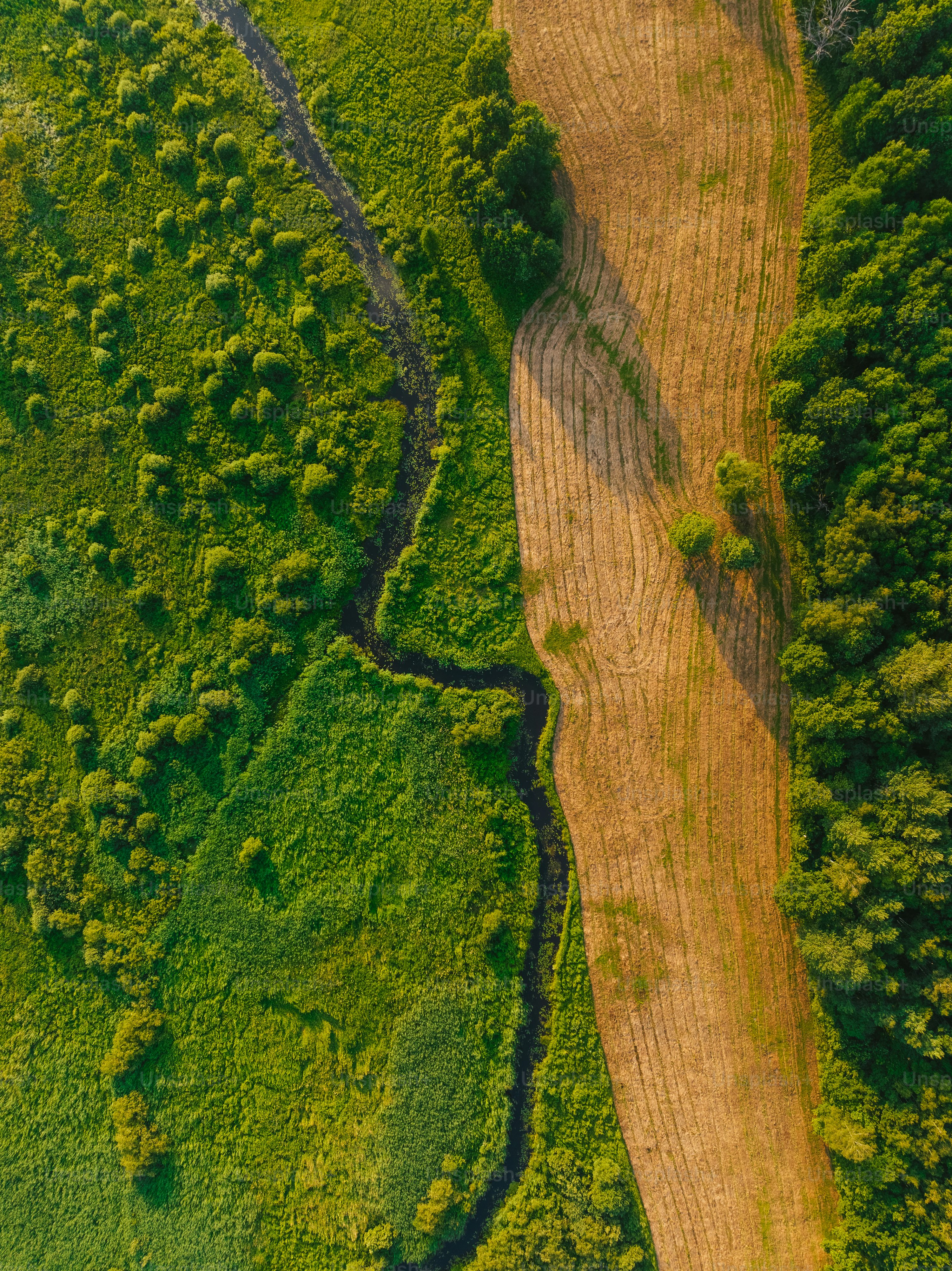 camera drones for wildlife monitoring in UK