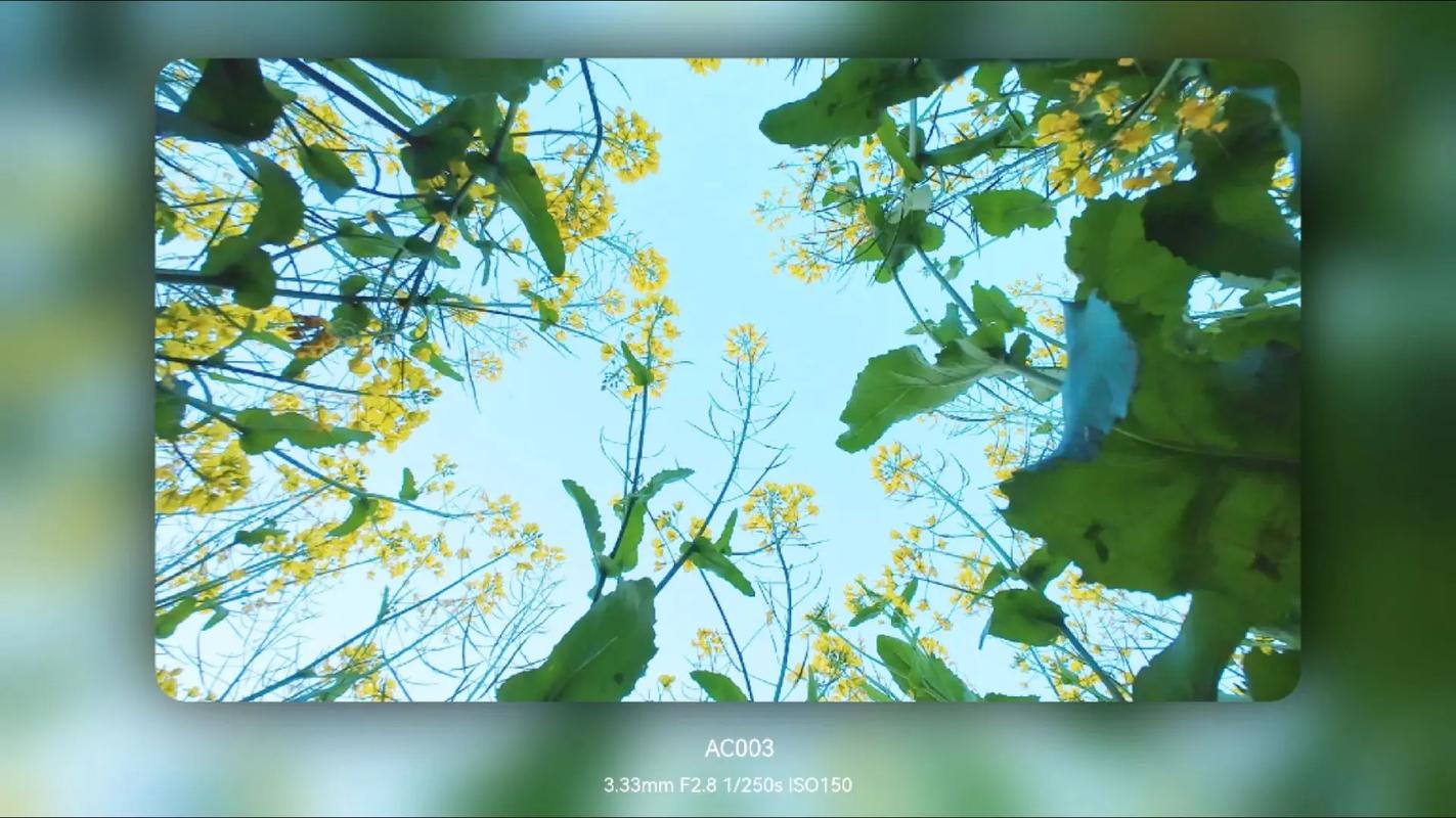 uavs for security with 1080p camera in Asia