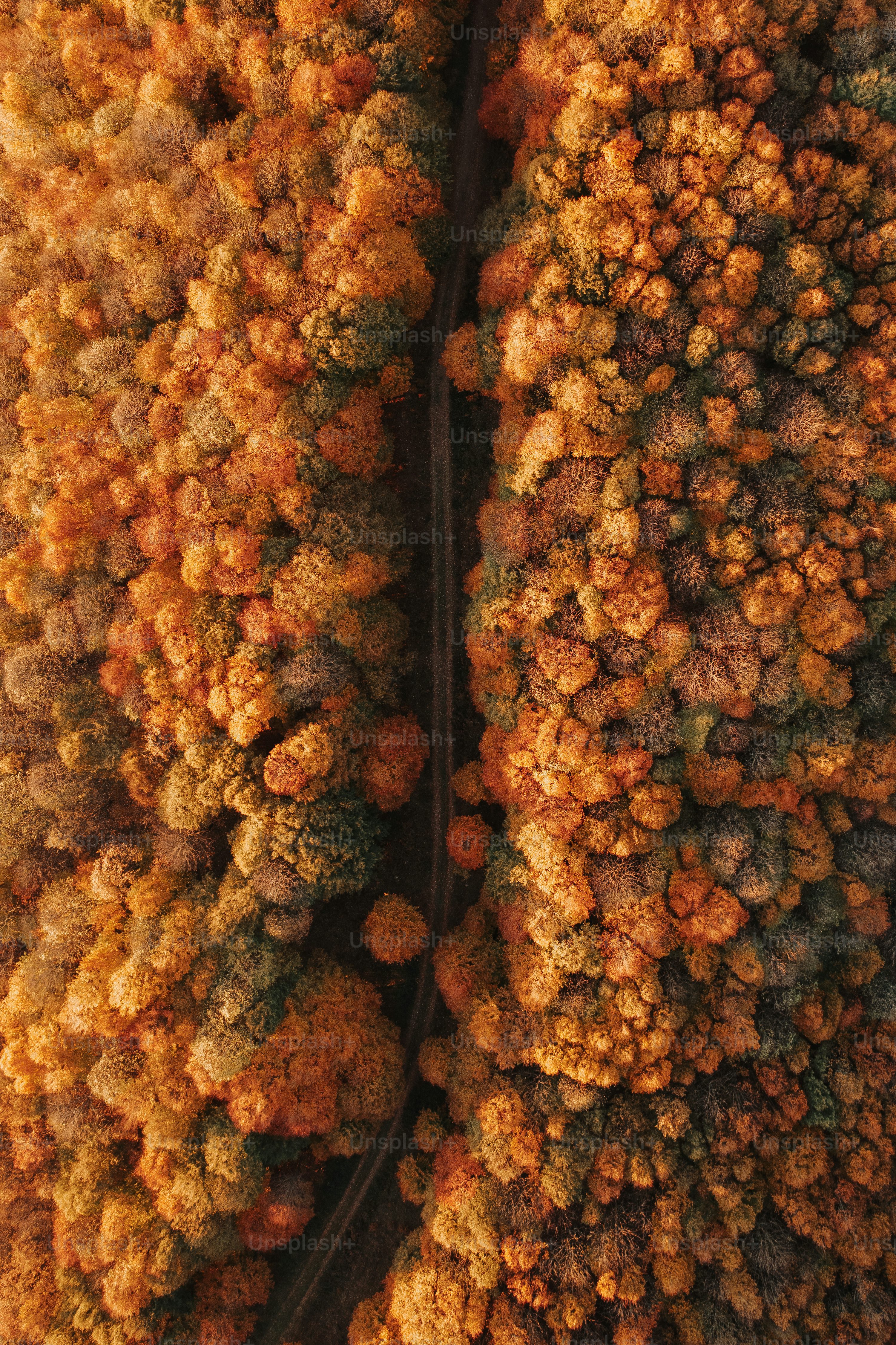 camera drones for agriculture with thermal camera in Singapore