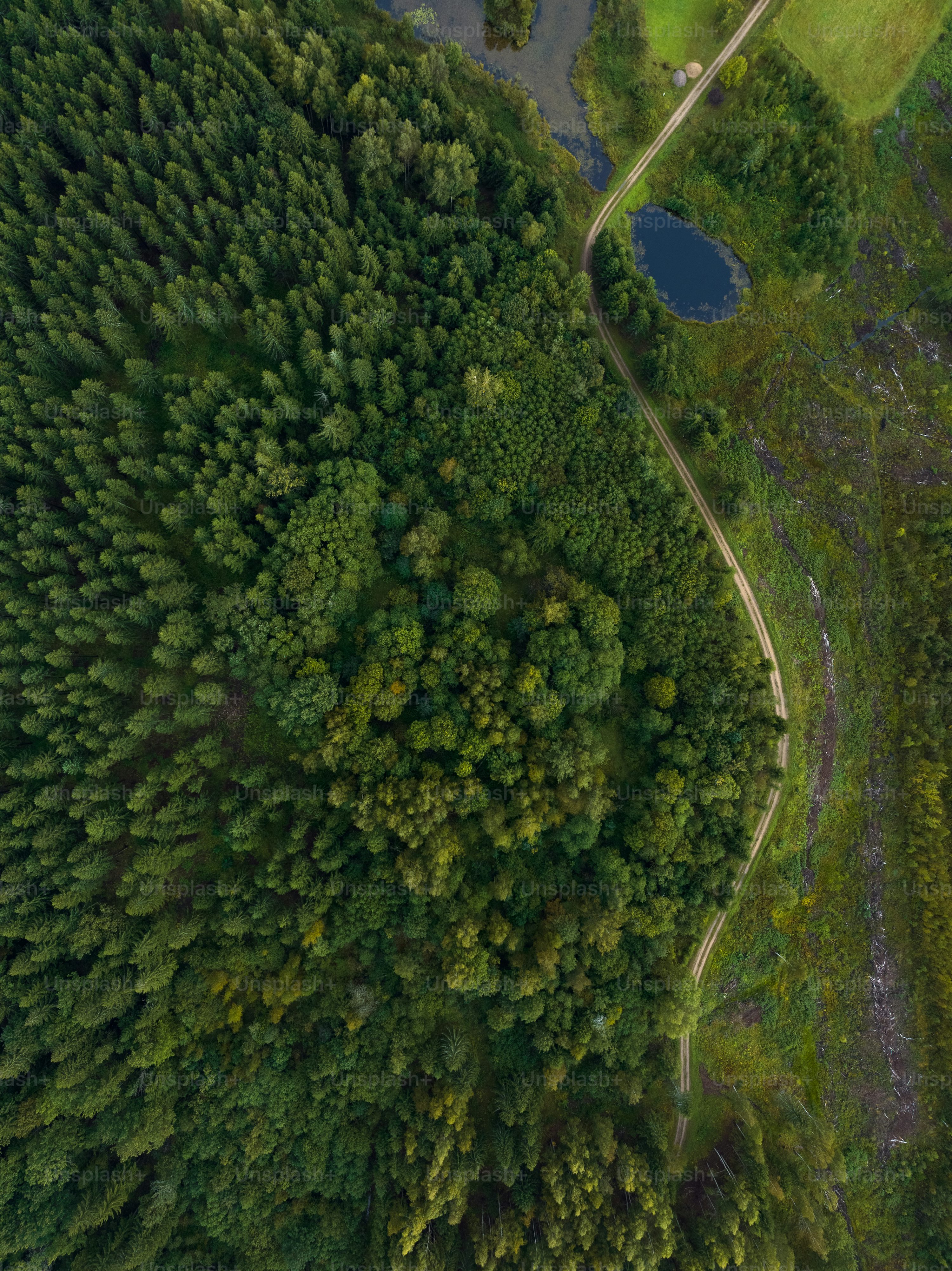 mini drones for farming with 4k camera in Sydney