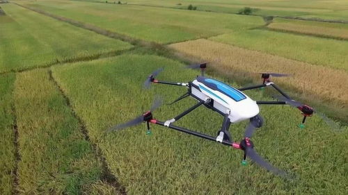 Ryze Tello drones for videography with gps
